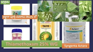 Syngenta Actara Insecticide in Telugu  Thiamethoxam 25 WG  ఆక్టర పూర్తీ వివరాలు తెలుగు లో [upl. by Jezabelle]