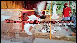 আজ সমস্ত পায়রাদের Albomar Medicine খাওয়ালাম  Aaj Samosto Payrader Albomar Medicine Khoyalam [upl. by Gayleen]