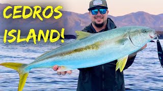 Fishing Cedros Island quotThe Videoquot [upl. by Enileuqaj]