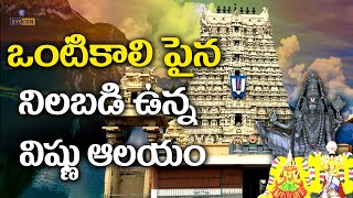 ఒంటికాలిపైన నిలబడి ఉన్న విష్ణు ఆలయం Thiruvikrama Perumal Temple ThirukovilurTamilnaduEyecon Facts [upl. by Tegdig]