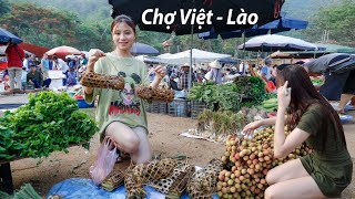 Đi mua Cua đá ở Chợ biên giới 2 nước Việt  Lào cùng sang trao đổi hàng hoá [upl. by Raynold]