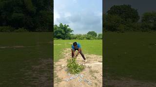 गरीब लडके ने बनाई नई Pitch 🥹❤️ cricket trending viral reels shorts foryou ytshorts top [upl. by Park619]