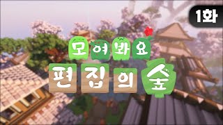 김편집 인생 최초 마크서버 오픈  EP01 모여봐요 편집의 숲 마인크래프트 [upl. by Zinah796]