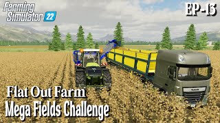 preparing field for next crops in future  Farming Simulator22  Flatout Farm  fs22timelapse [upl. by Aicnatsnoc]