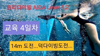 프리다이빙 Vlog ep 004 K26에서 롱핀 첫입문해 14m 성공기AIDA Level 12 교육 4일차 [upl. by Irik]