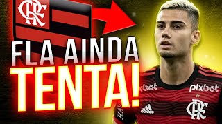 FLAMENGO TENTA CONVENCER ANDREAS PEREIRA E O MANCHESTER MAS TENTOU MUITO TARDE [upl. by Domeniga]