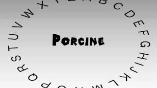 How to Say or Pronounce Porcine [upl. by Oreves]