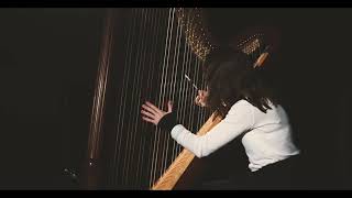 Rameau Le Rappel des Oiseaux Anastasia Razvalyaeva harp [upl. by Haida213]