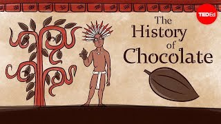 The history of chocolate  Deanna Pucciarelli [upl. by Emixam73]