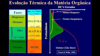 Geologia do Petróleo Aula 03 Geoquímica do Petróleo [upl. by Ttayw156]