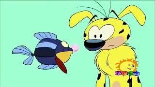 marsupilami malayalam cartoon KOCHU TV kids [upl. by Daffie654]