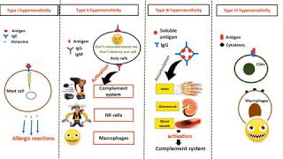 Hypersensitivity types in 4 minutes [upl. by Lleira]