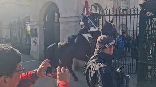 Police horse wait for spooked horse to calm down horseguard [upl. by Nerak]