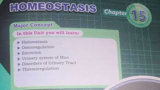 Function of nephronKidney XII biology chap 1 new STB mdcattest biology mdcattest [upl. by Myke]