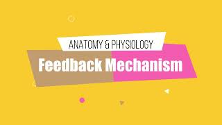 Anatomy amp Physiology 13 Negative and Positive Feedback Mechanism of Endocrine System HINDI [upl. by Connelly]