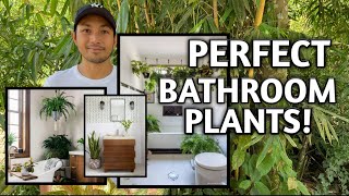 BEST HOUSEPLANTS FOR YOUR BATHROOM [upl. by Daile]