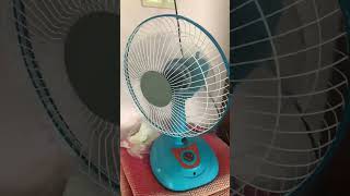 Unbranded Fan [upl. by Aicnarf]