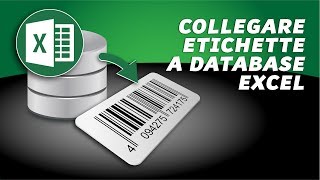 Nice Label tutorial come collegare un database Excel alletichetta [upl. by Yrelle]