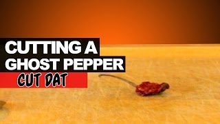 Cutting a Ghost Pepper [upl. by Marciano]