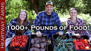 Harvesting 1000 Pounds of Food in ONE HOUR  Fall Garden Harvest Stocking Up  Food Preservation [upl. by Cesya]