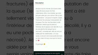 🙏👉httpswwwleetchicomciris6191924utmsourcenativeamputmmediumsocialsharing [upl. by Emeline]