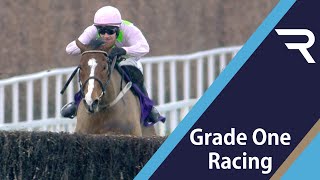 LISTEN TO THE NOISE Faugheen brings the house down in the 2020 Flogas Novice Chase at Leopardstown [upl. by Veats]