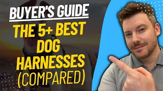 TOP 5 BEST DOG HARNESSES  Best Dog Harness Review 2023 [upl. by Atenahs]