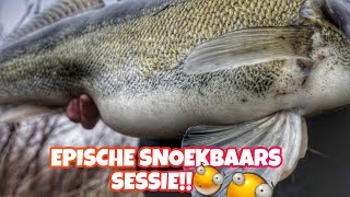 Snoekbaars vissen  EPISCHE DROP SHOT SESSIE [upl. by Atat]