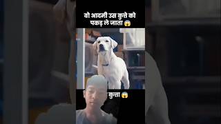 White dog dog humanity doglover video shortsvideo [upl. by Cullen52]