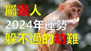 2024生肖運勢，十二生肖（屬猴人運勢當中，最躲不過的劫難是什麼，這其實跟屬猴人的性格特點，有相當大的關係，屬猴人在2024年間可能會面臨財富上的危機。讓屬猴人一夜間傾家蕩產） [upl. by Rieth195]