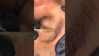 satisfying eyebrow waxing 😍 shorts wax waxing satisfying asmr eyebrowwaxing [upl. by Rubel681]