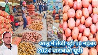 आलू में तेजी रही 16 नवंबर 2024🥔barabanki ka aalu🥔Aaj ka aalu ka bhav🥔aalu rate today🥔aalu bhav today [upl. by Yelwah538]