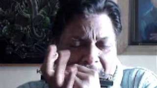 Aaja Re Pardesi Harmonica Mouth Organ Ashok Bhandari [upl. by Cull703]