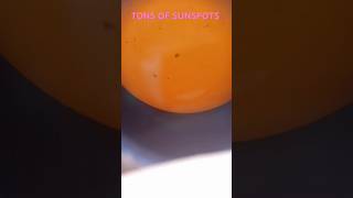 TONS OF SUNSPOTS Aug 26 2024 156pVideo by chrisgrohusko [upl. by Eadas]