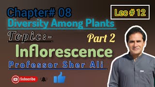 Inflorescences part 2  chapter 8th by Sher Ali sir Professorwallah4889 [upl. by Craggy436]