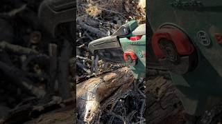 Cordless Saw  Wood Cutting  Tree pruning pole saw Tree pruning  woodsaw camping campfire 🔥 [upl. by Rosol687]