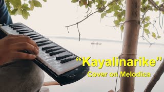 quotKayalinarikequot Cover on Melodica  Instrumental Music  Rithin George DRD Musicals [upl. by Procora]