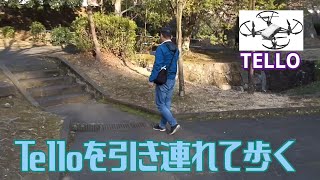 【DJI TELLO】Telloを引き連れて歩く dronefootage tello tellodrone tellome [upl. by Akahs562]