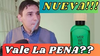 NUEVA  VERBENA ADOLFO DOMÍNGUEZ 2023  VALE LA PENA [upl. by Clementas]