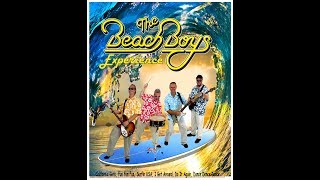 Beach Boys Experience [upl. by Fabio97]