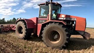 Case IH Steiger 9350 w uprawie Wykopki 2023 Ładujemy ziemniaki [upl. by Aseretairam]