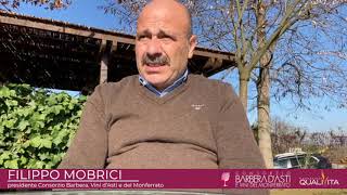 Intervista a Filippo Mobrici presidente Consorzio Barbera Vini dAsti e del Monferrato [upl. by Anallise]