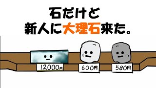 【アニメ】石だけど新人に大理石来た。 [upl. by Nelleh835]