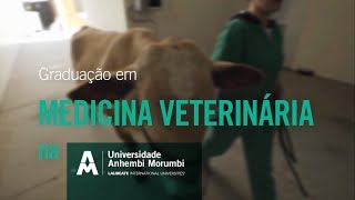 MEDICINA VETERINÁRIA motivos para estudar na Anhembi Morumbi [upl. by Acirfa]