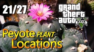 GTA 5  Peyote Plant Locations 2127 [upl. by Thedrick502]