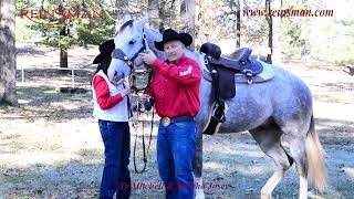 How to Fit and Adjust a Bit and Headstall on a Horse 0117 1000 Josey Mitchell Chain Lifter [upl. by Amero144]