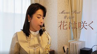 【Music Post】花は咲くHana wa Saku Alto Sax cover by Yoshiko Kodaka [upl. by Rybma]