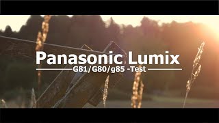 Forest  PANASONIC LUMIX G80G85G81 CINEMATIC footage  Handheld  Gebbi [upl. by Ragnar957]