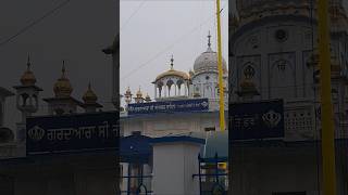 gurpurab celebration gurunanakdevji gurdwara day vibes sikh guru god [upl. by Atterrol931]