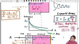 243c Ultrasound Attenuation amp Absorption  A2 Medical Ultrasound  Cambridge A Level 9702 Physics [upl. by Arni]